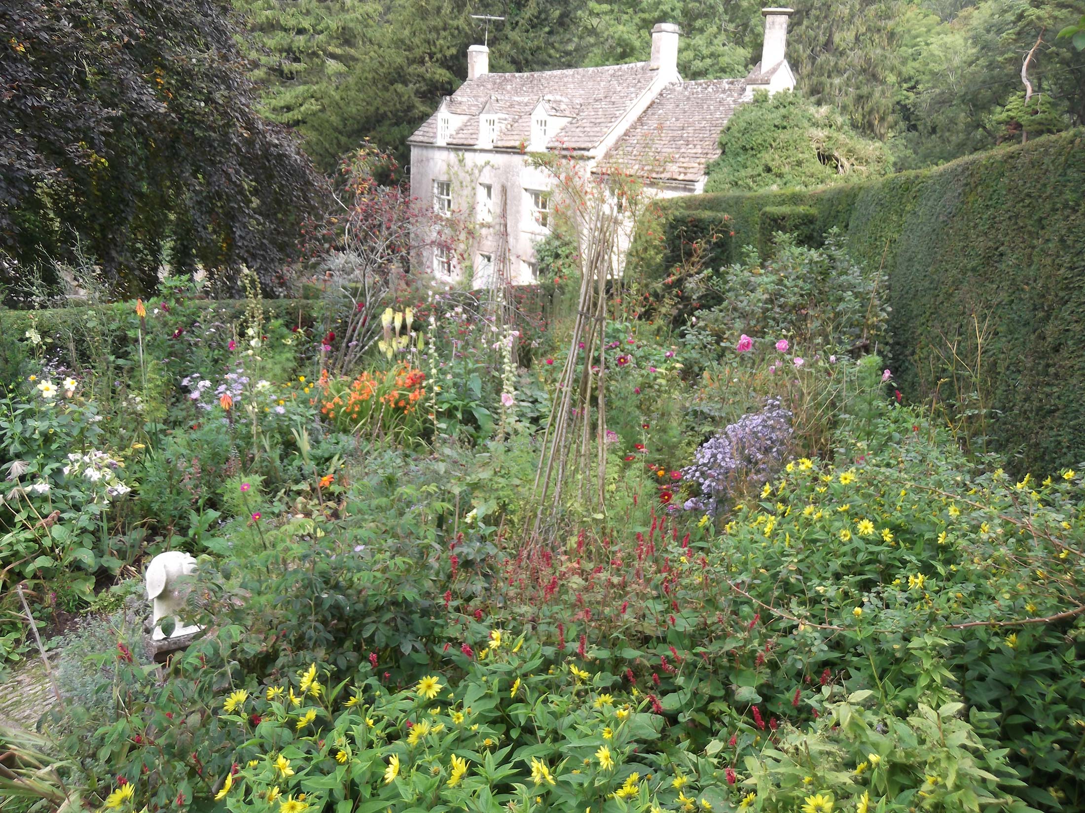 Barnwell Gardens Perennials in Gloucestershire Barnwell Gardens